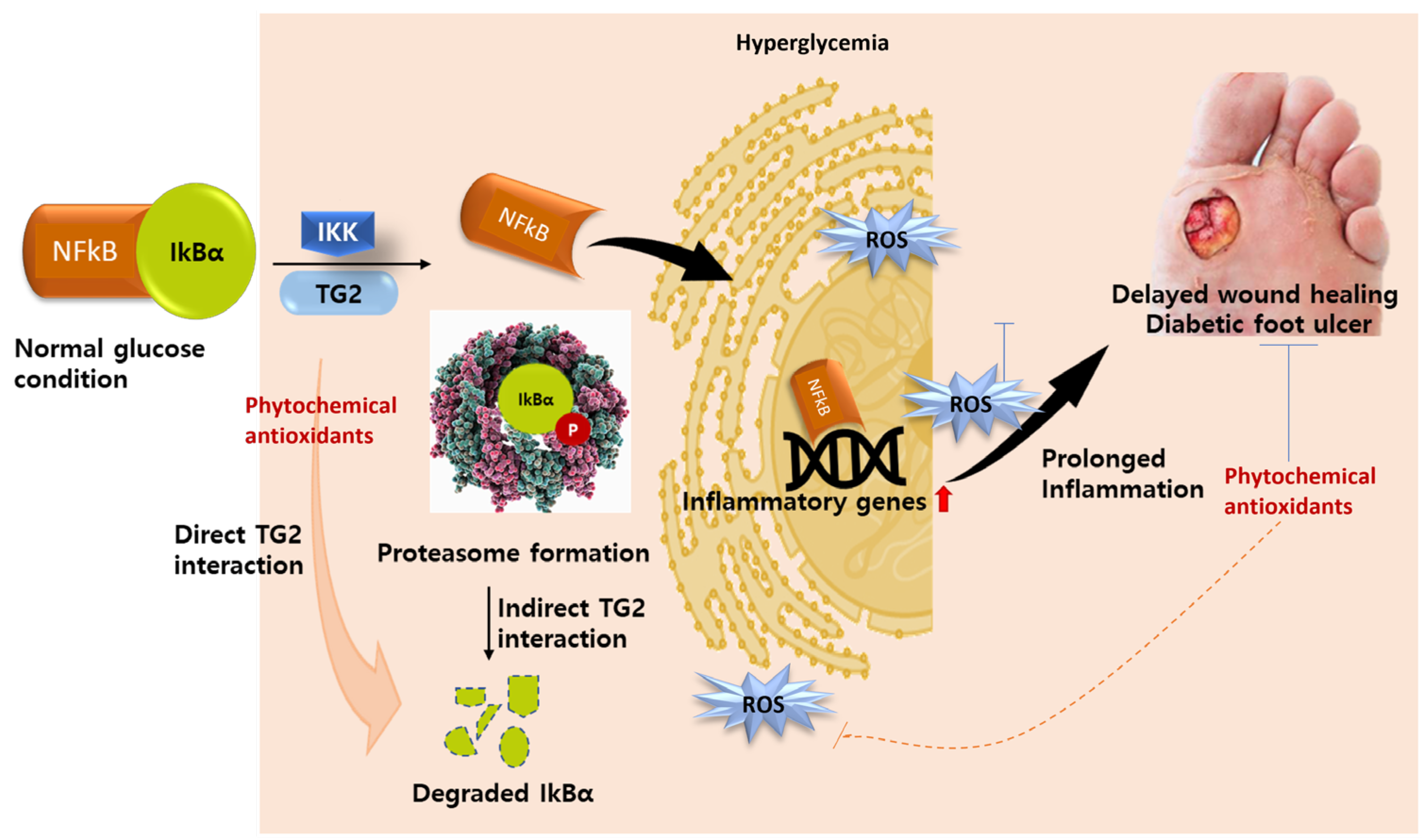 Kinasesphosphatases 02 00005 g004