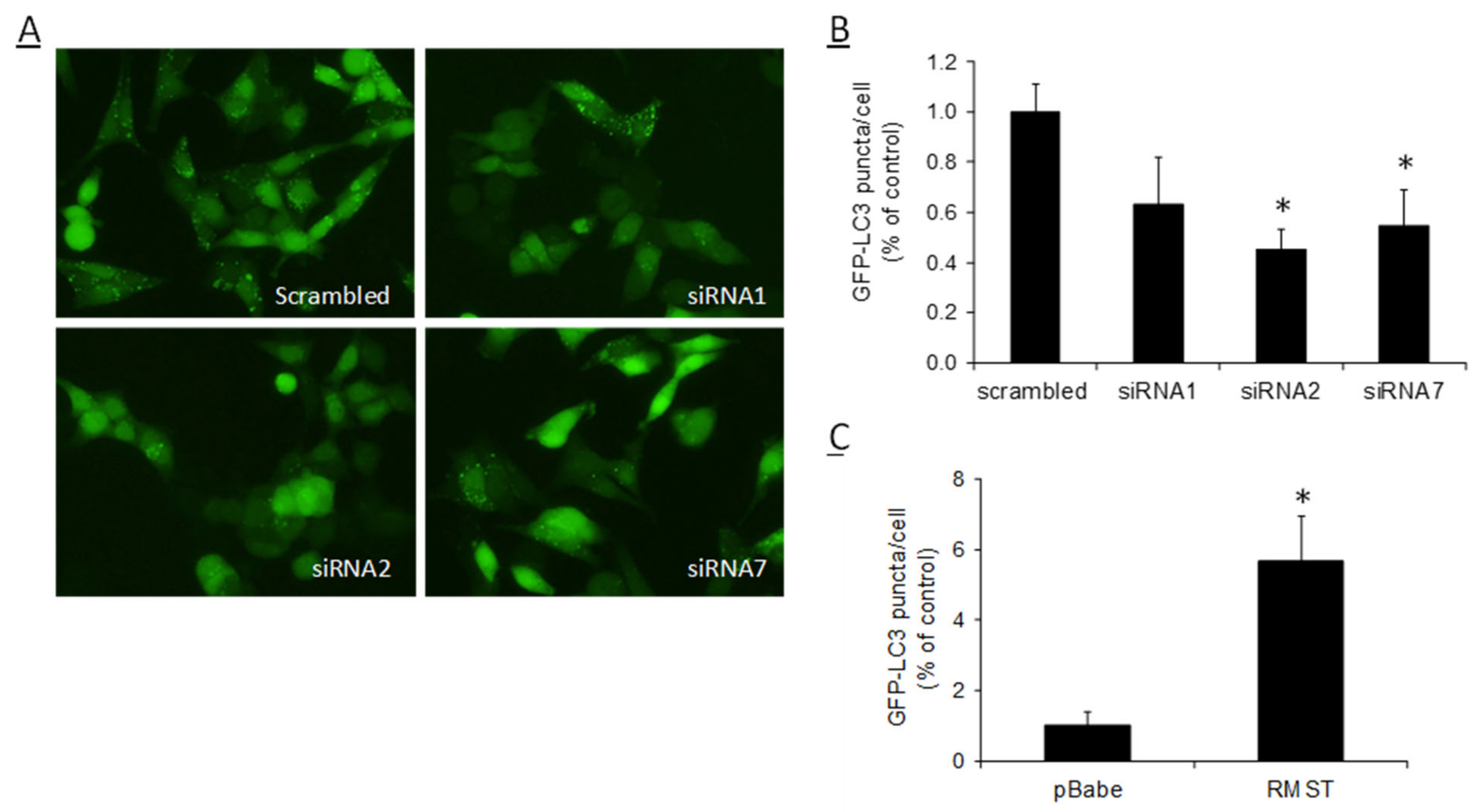 Kinasesphosphatases 02 00008 g004