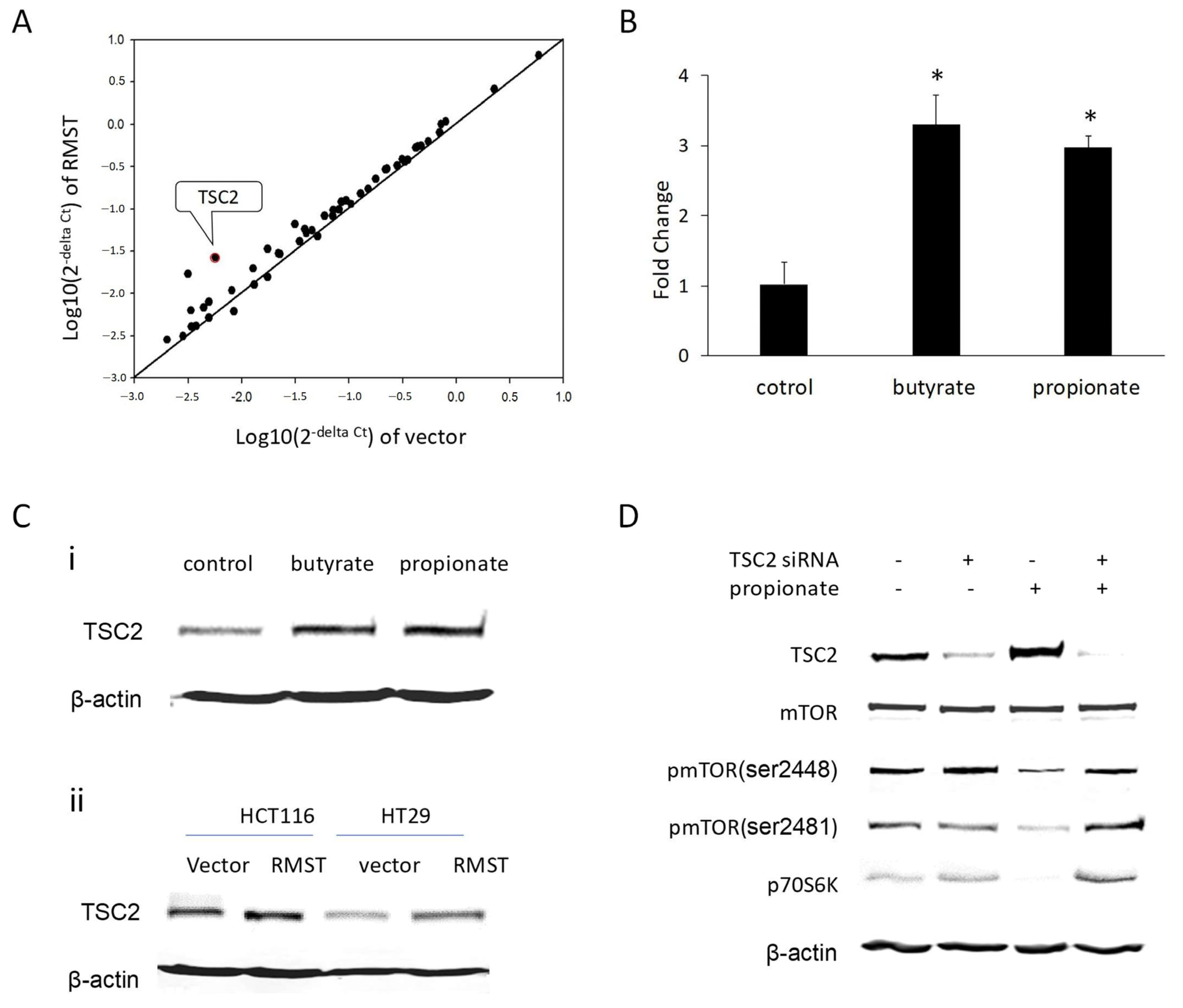 Kinasesphosphatases 02 00008 g005