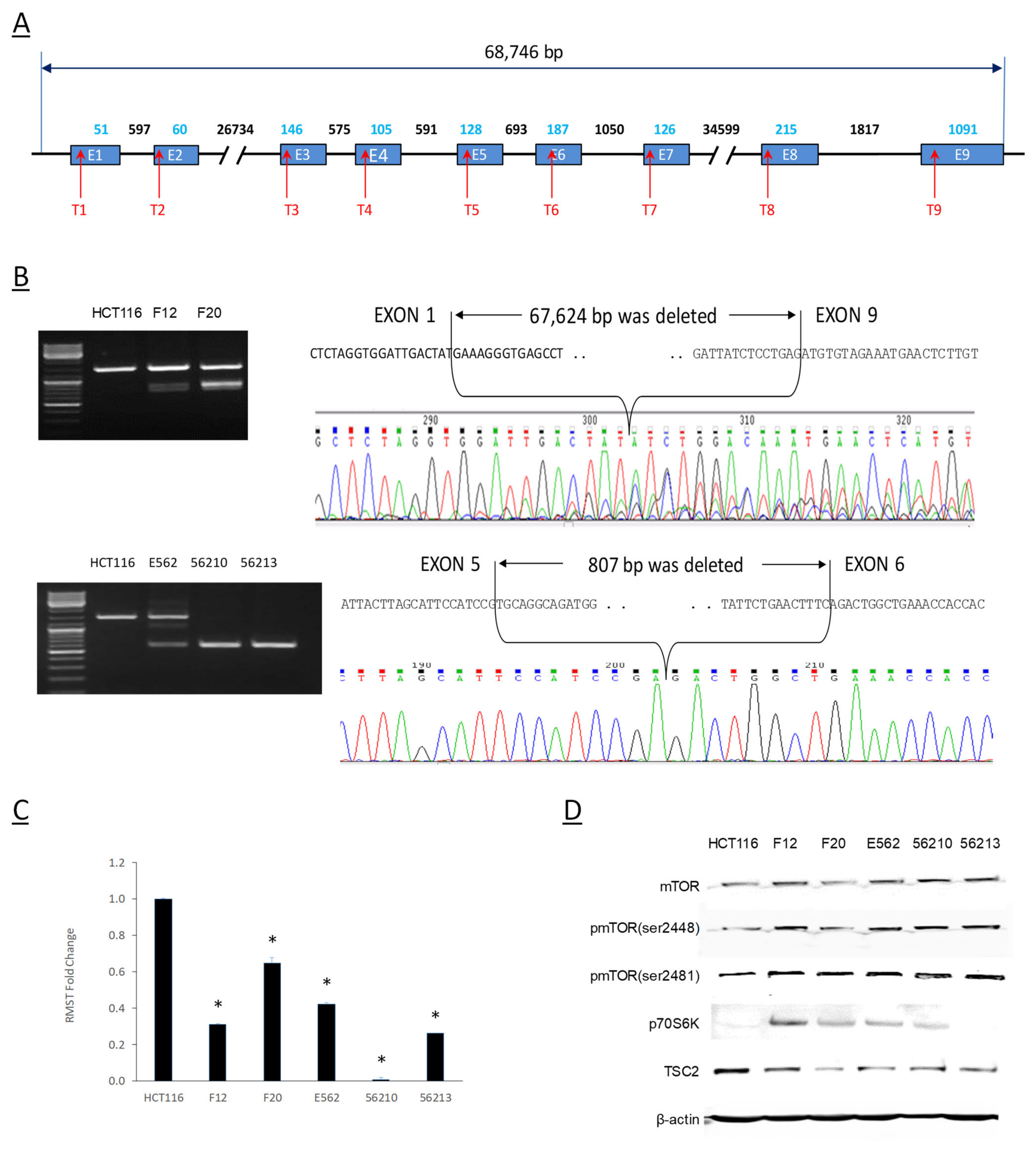 Kinasesphosphatases 02 00008 g006