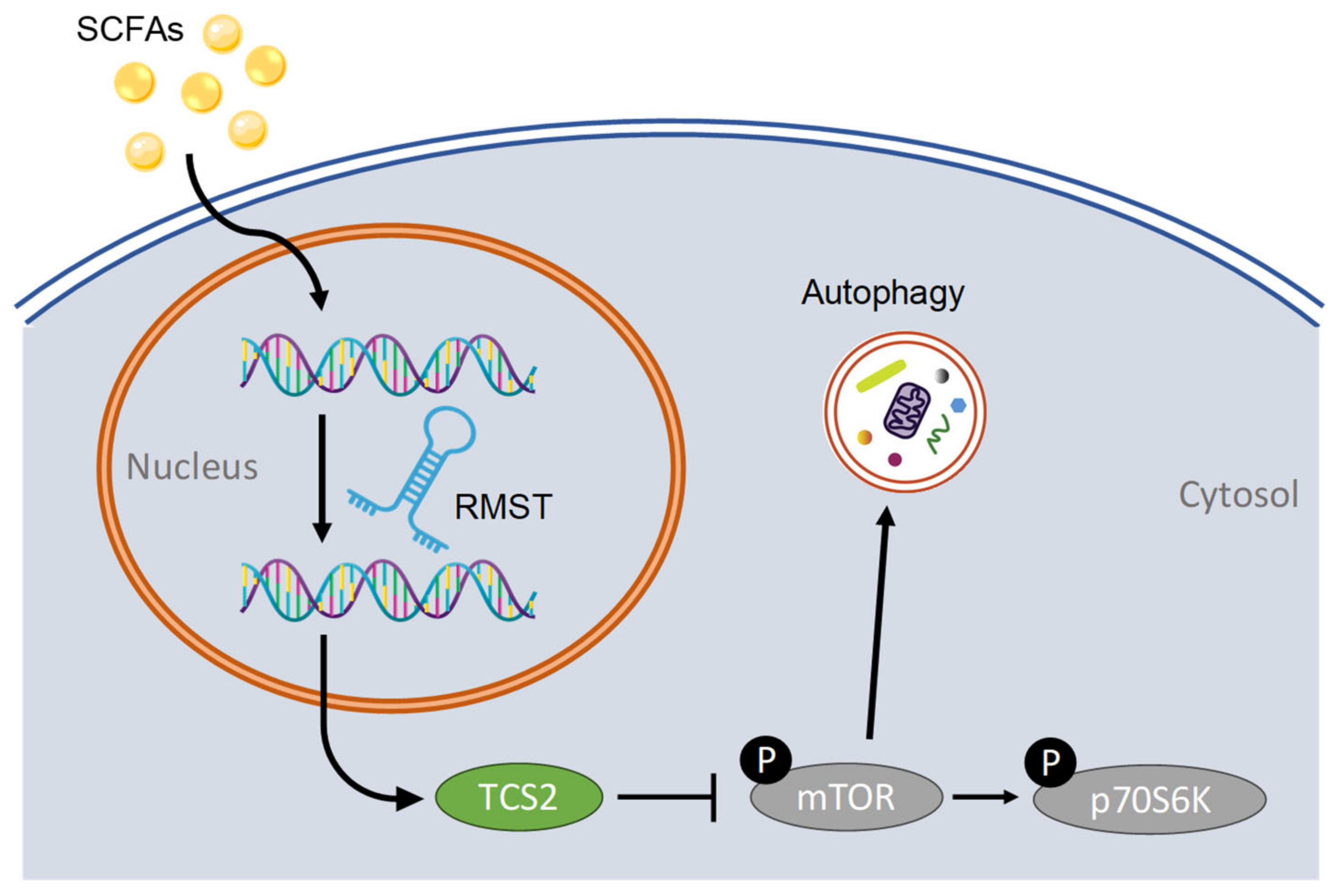 Kinasesphosphatases 02 00008 g007