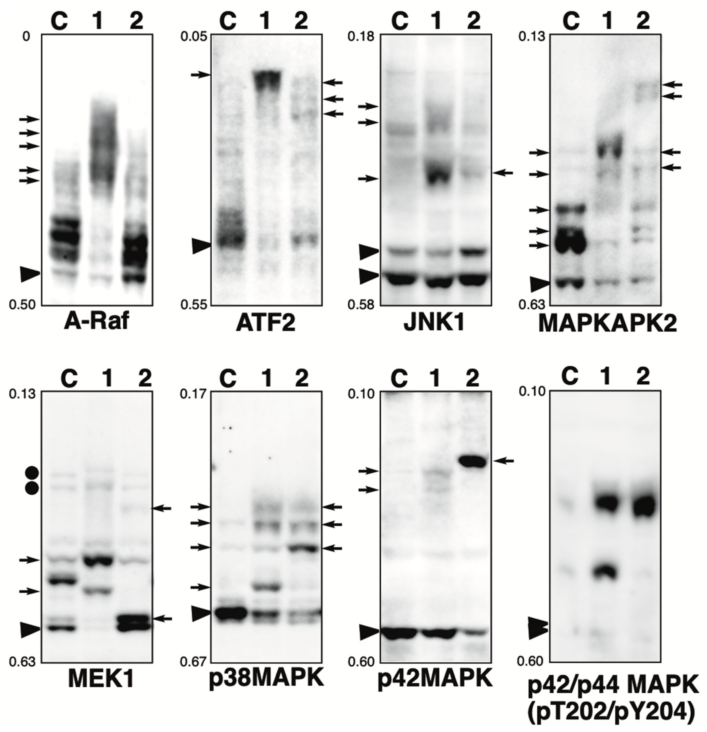 Kinasesphosphatases 02 00014 g001
