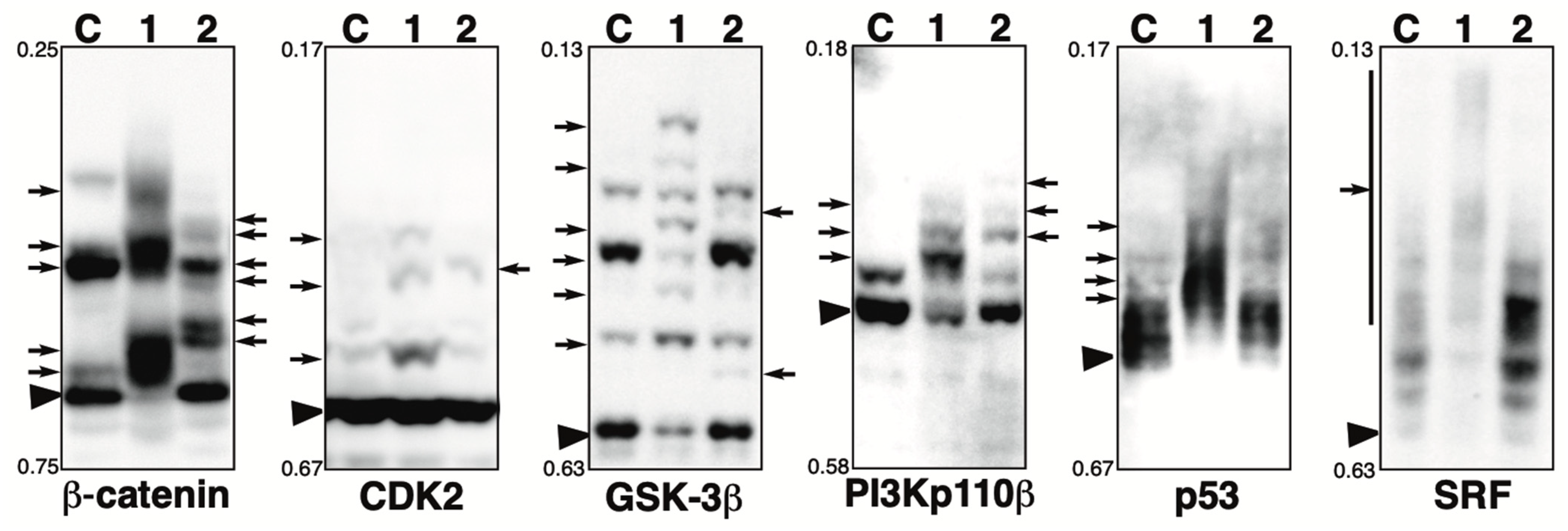 Kinasesphosphatases 02 00014 g005