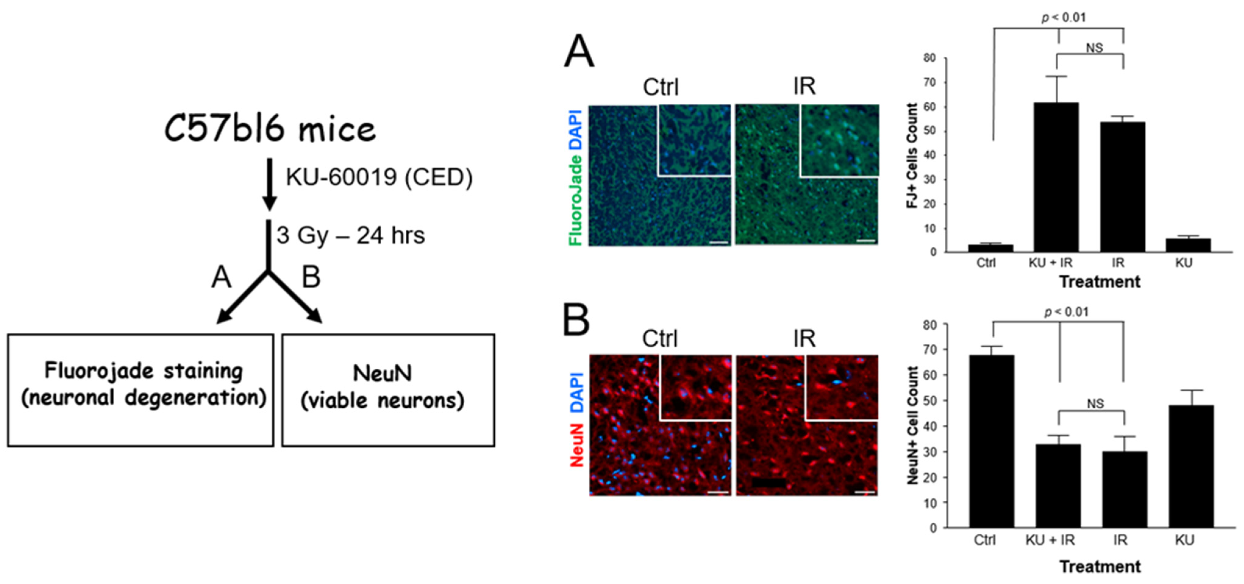 Kinasesphosphatases 02 00017 g002