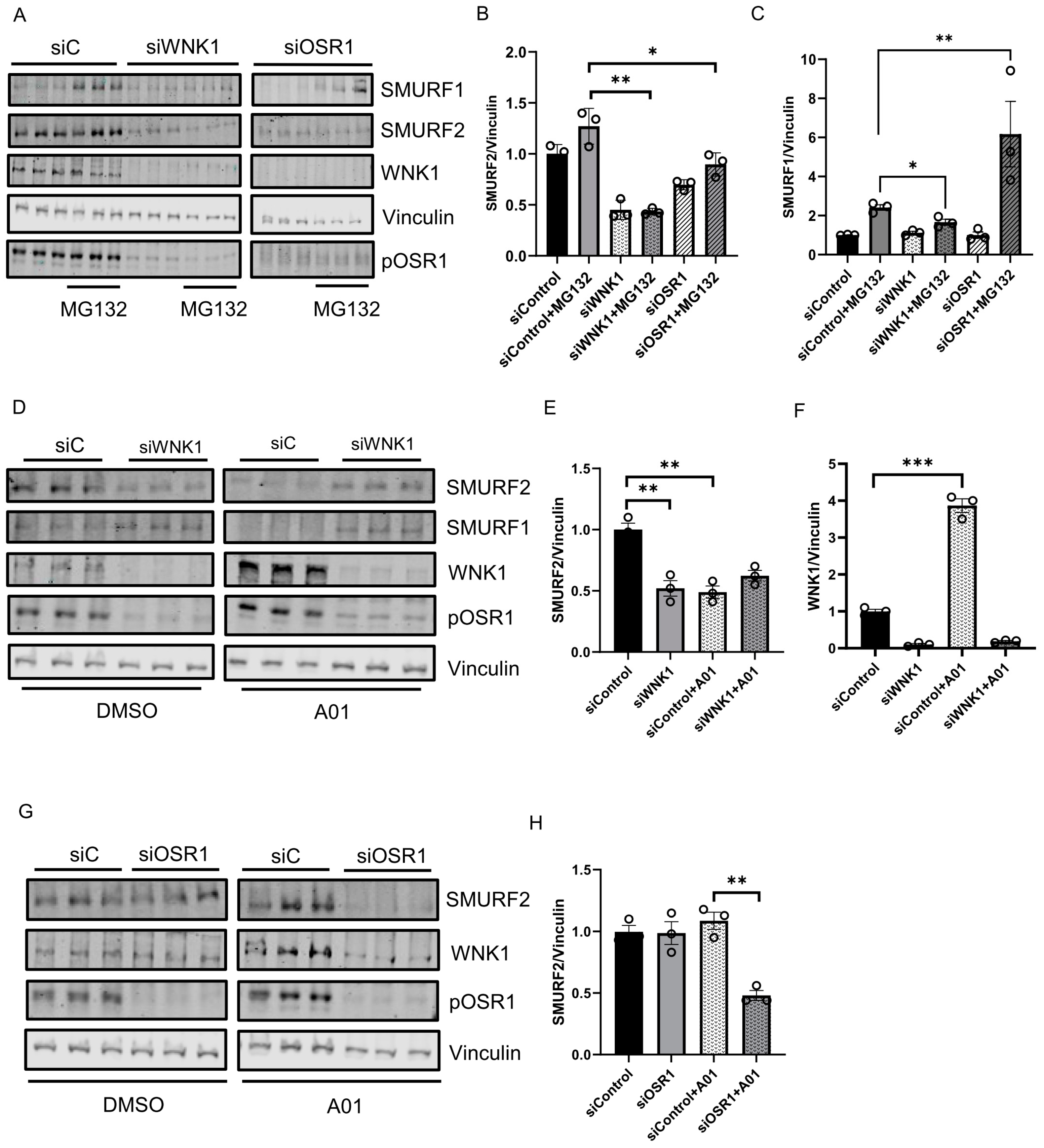 Kinasesphosphatases 02 00019 g003
