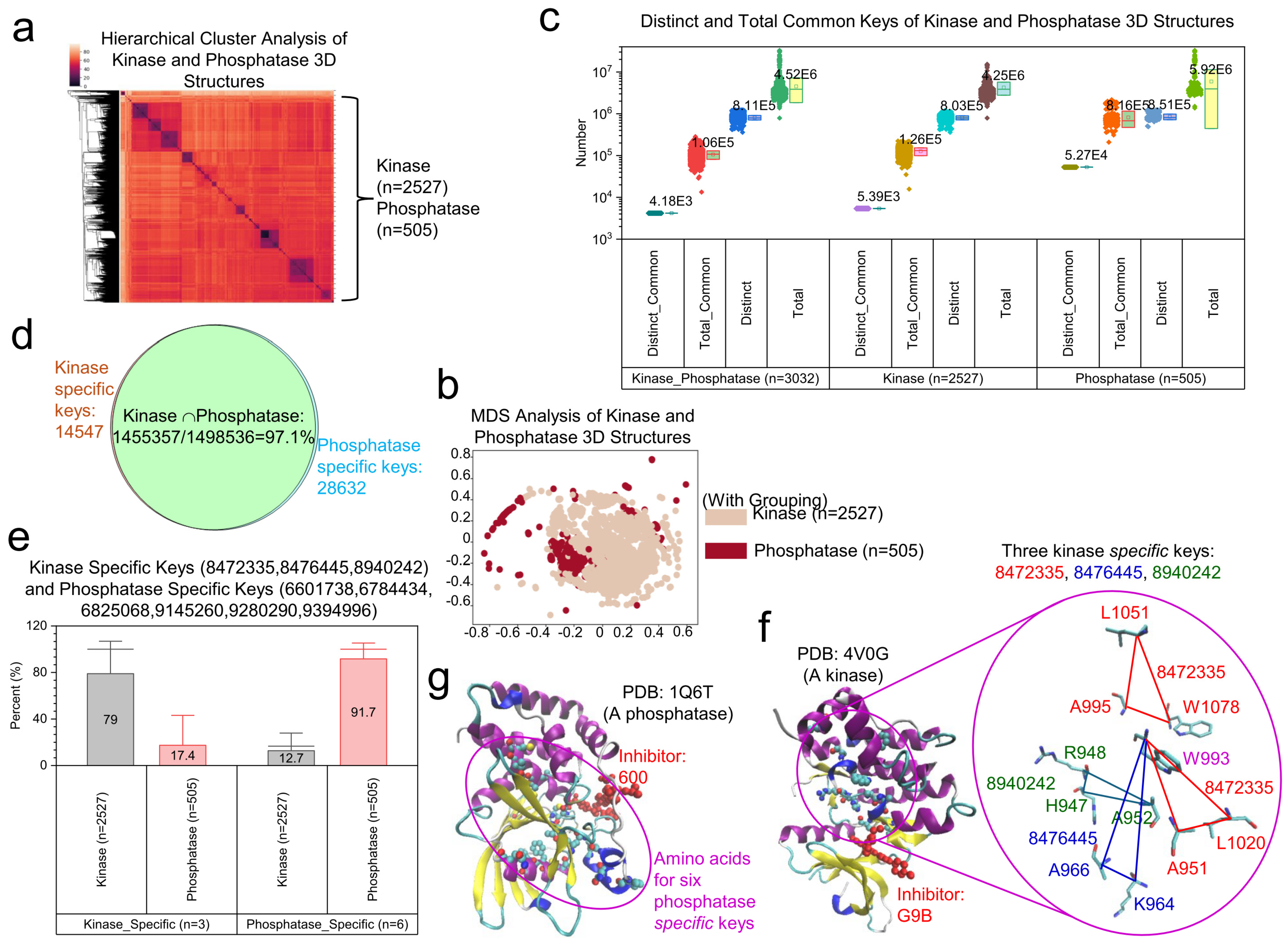 Kinasesphosphatases 02 00021 g002