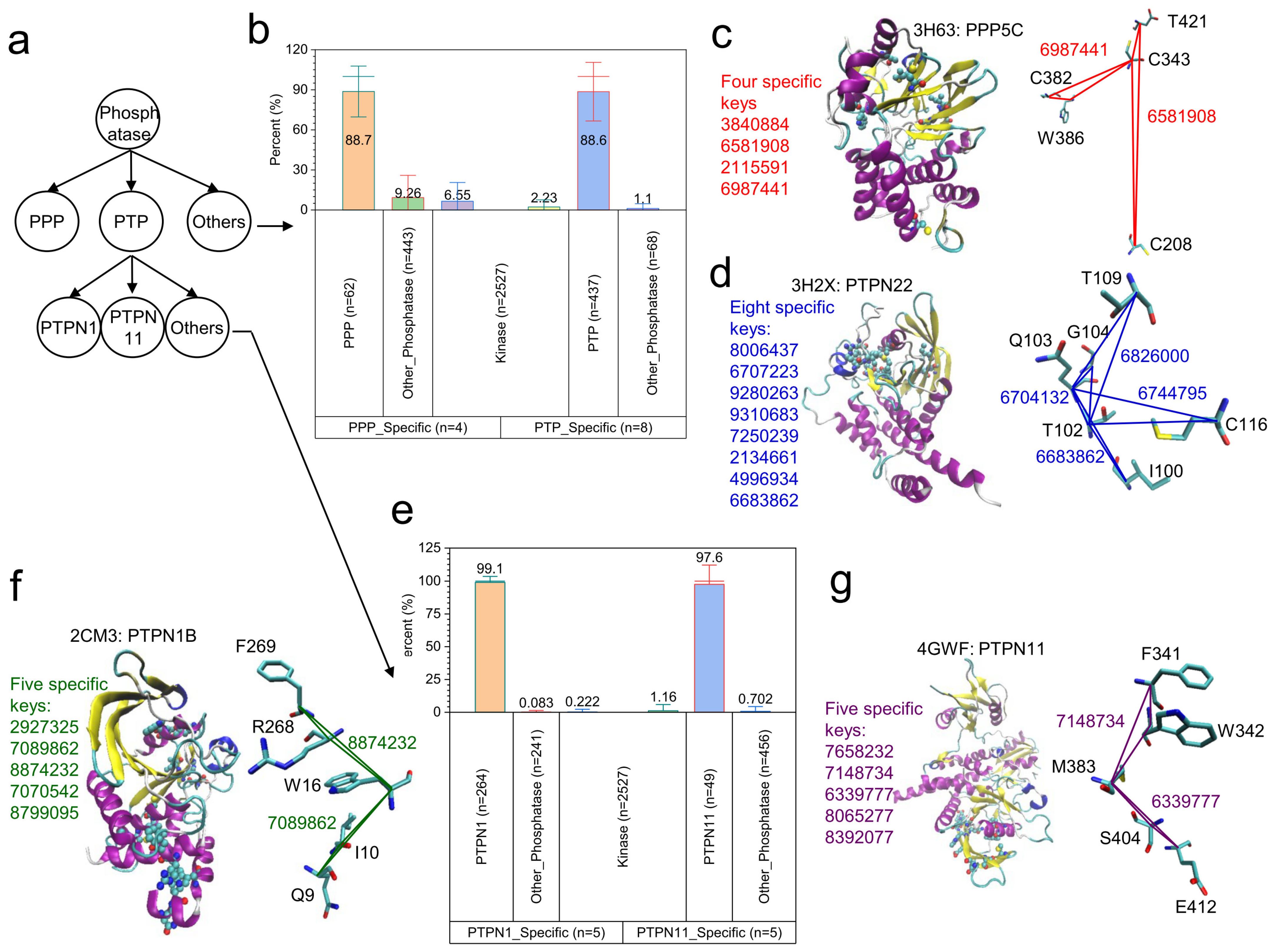 Kinasesphosphatases 02 00021 g007