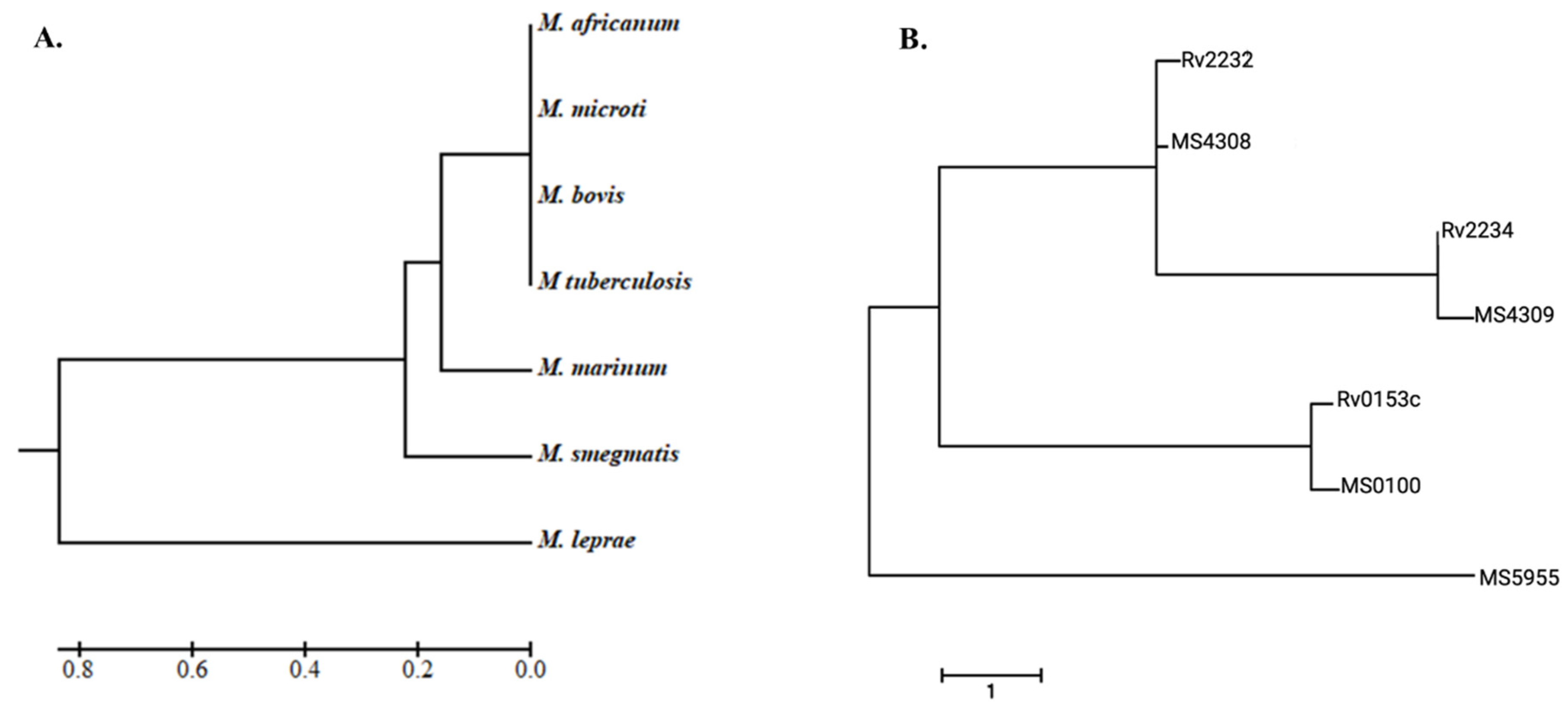 Kinasesphosphatases 02 00022 g001