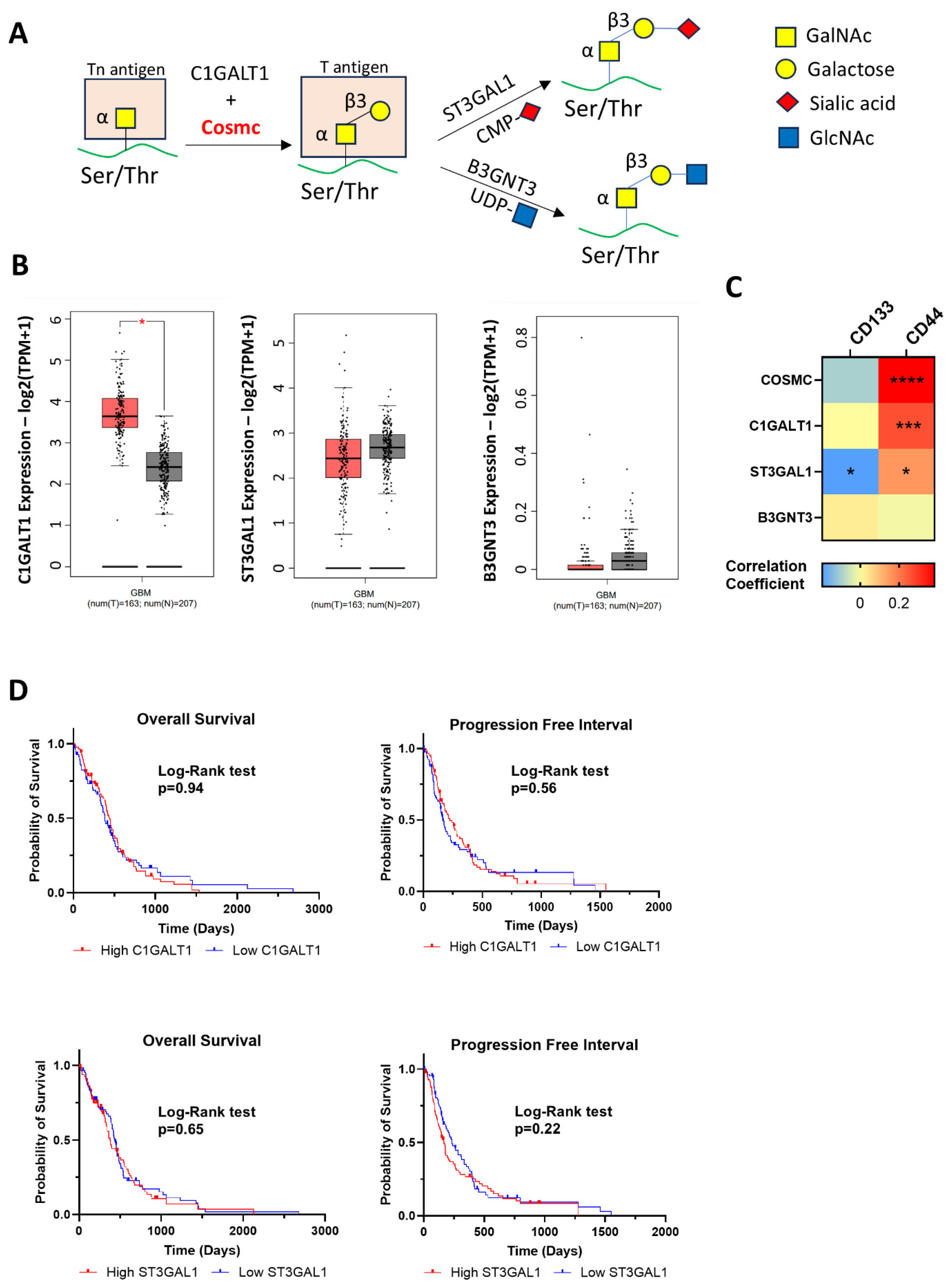 Kinasesphosphatases 02 00025 g002