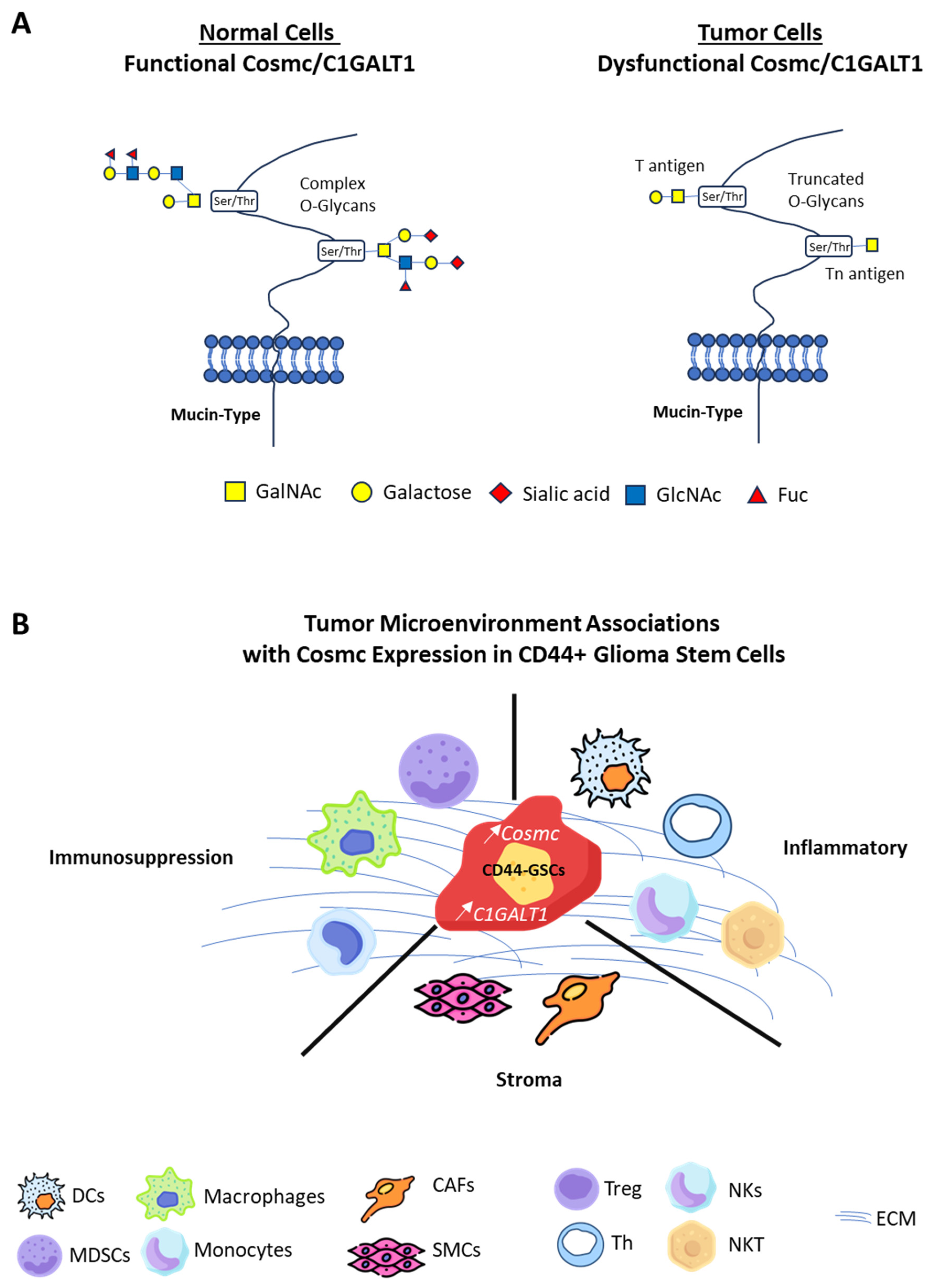 Kinasesphosphatases 02 00025 g006