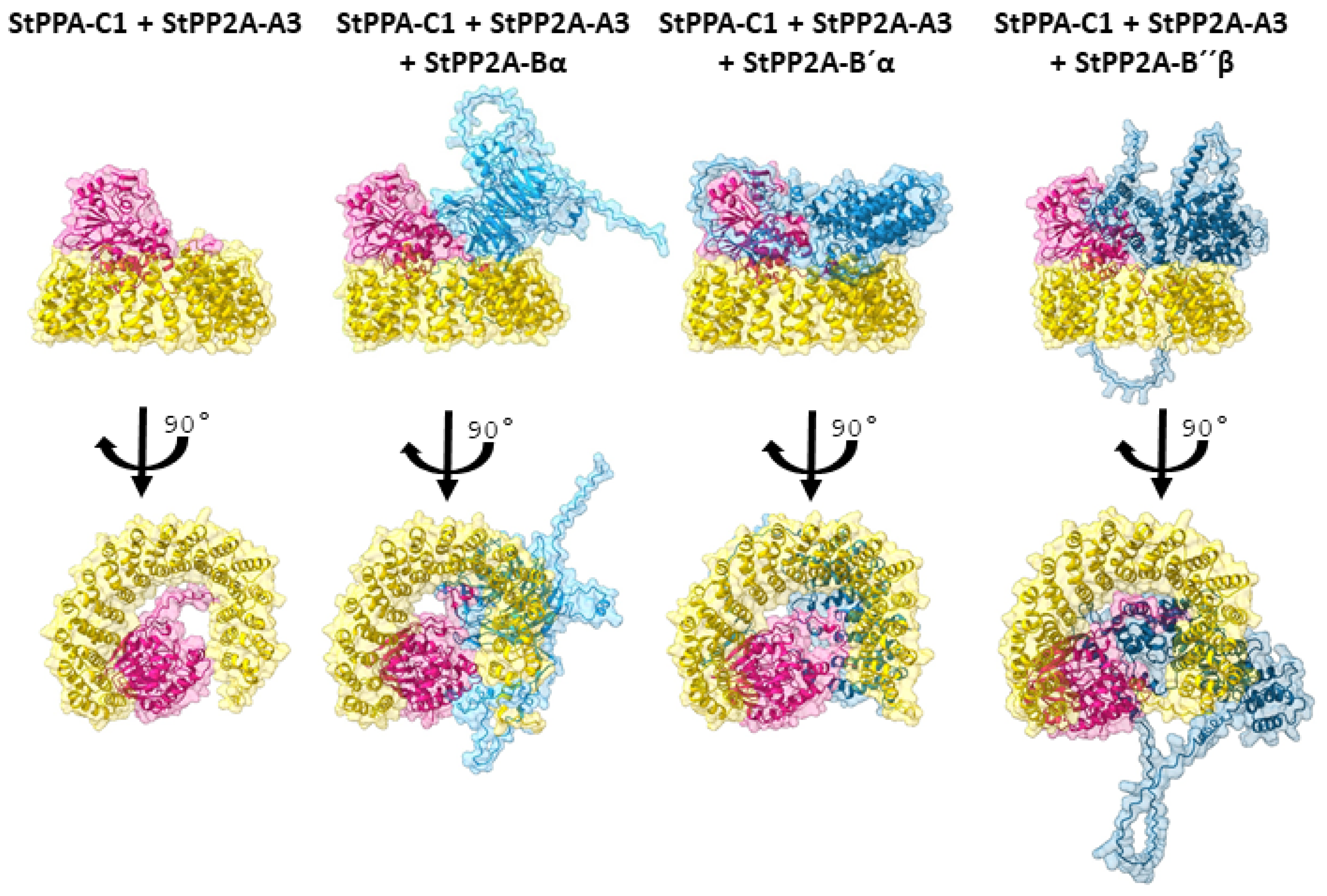 Kinasesphosphatases 03 00005 g001