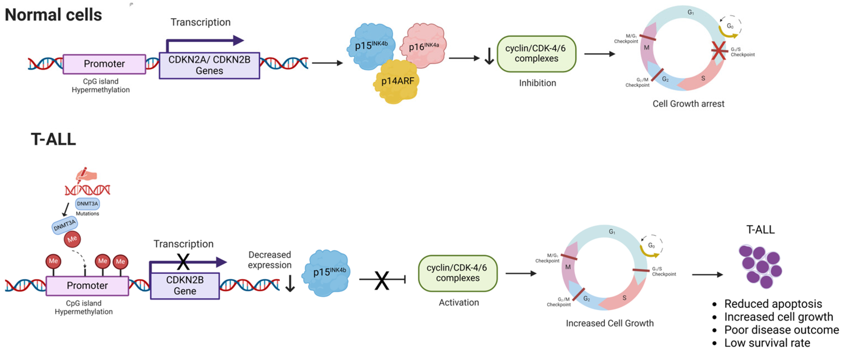Kinasesphosphatases 03 00007 g001