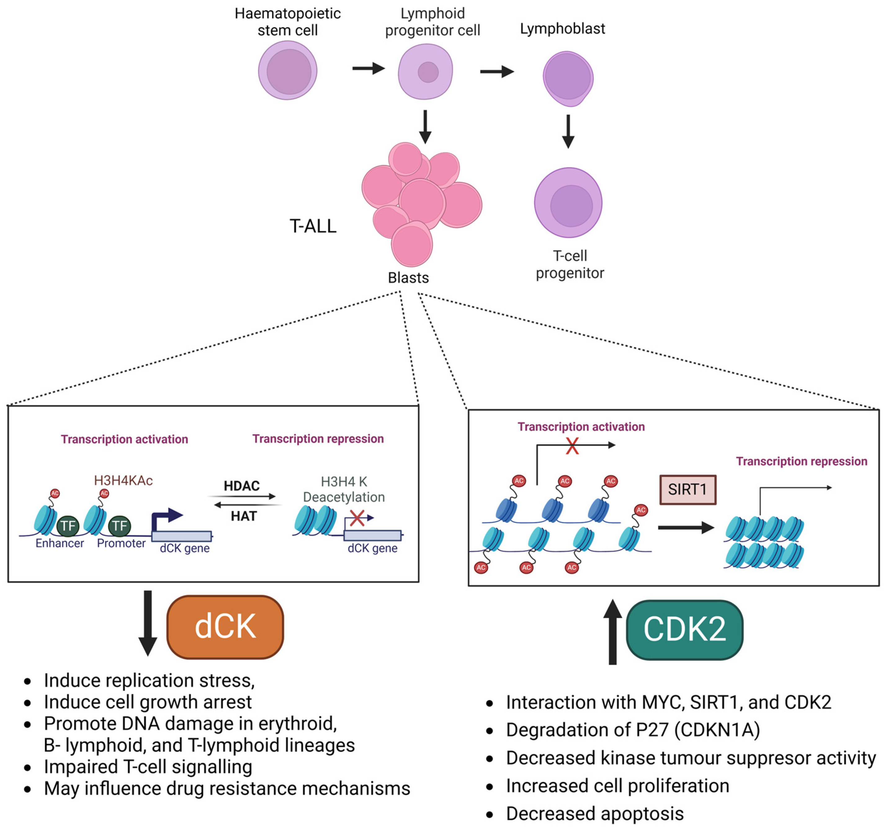 Kinasesphosphatases 03 00007 g002