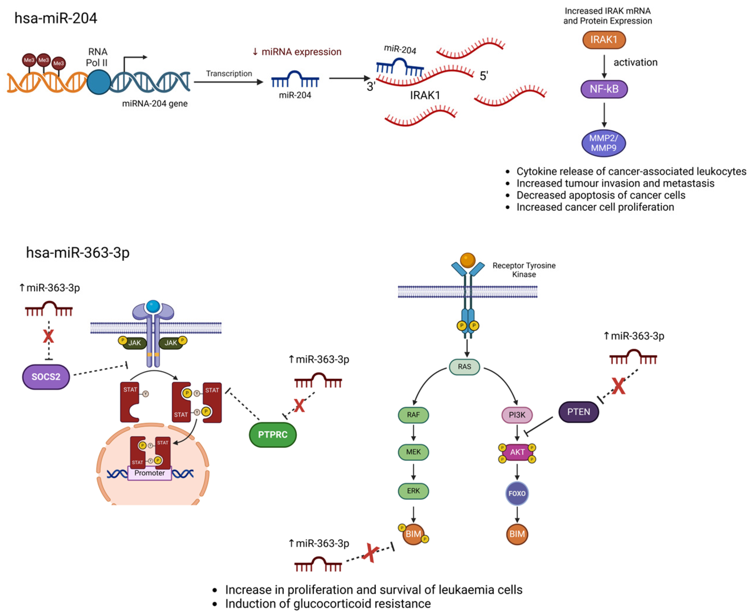 Kinasesphosphatases 03 00007 g003