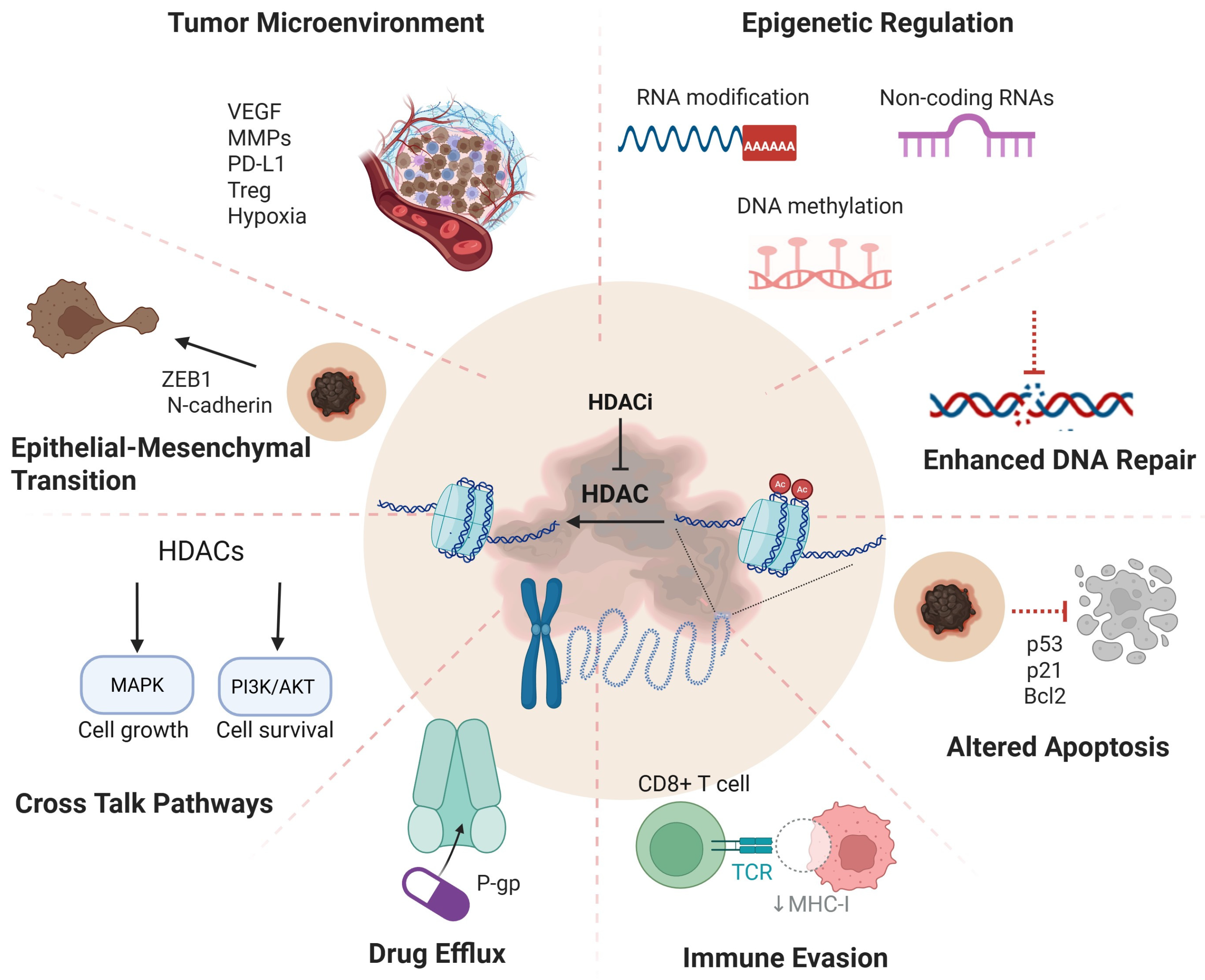 Kinasesphosphatases 03 00008 g001