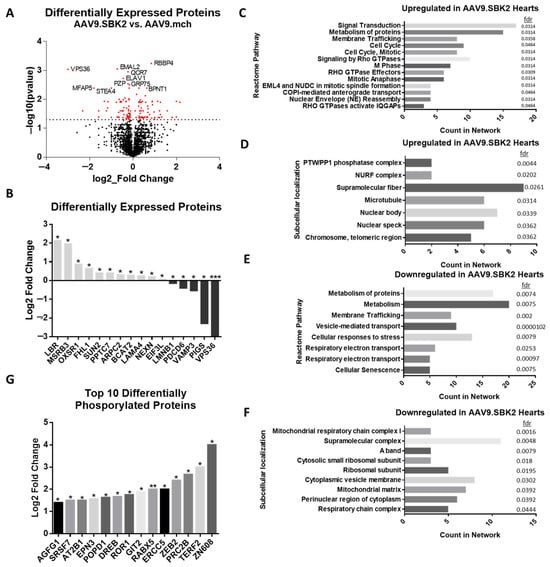 Kinasesphosphatases 03 00020 g002