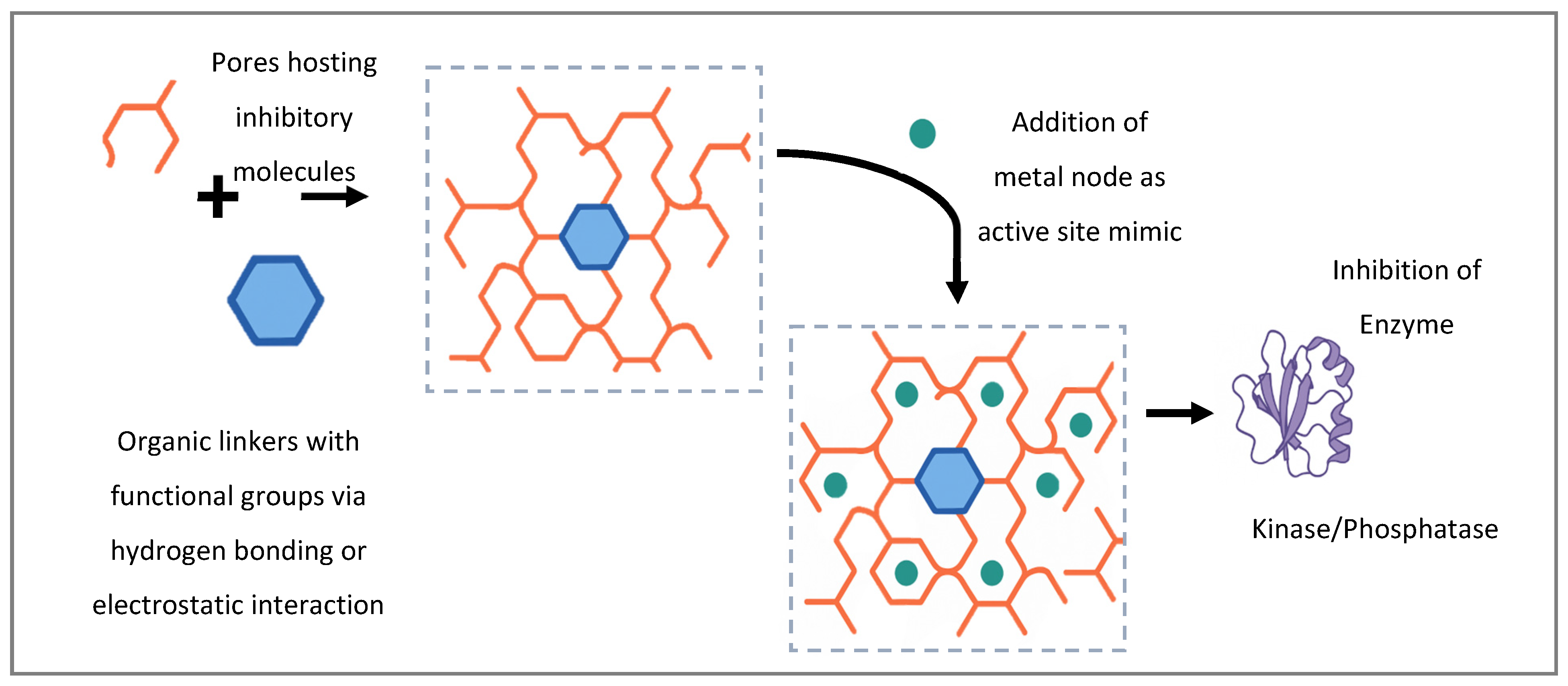 Kinasesphosphatases 03 00021 g002
