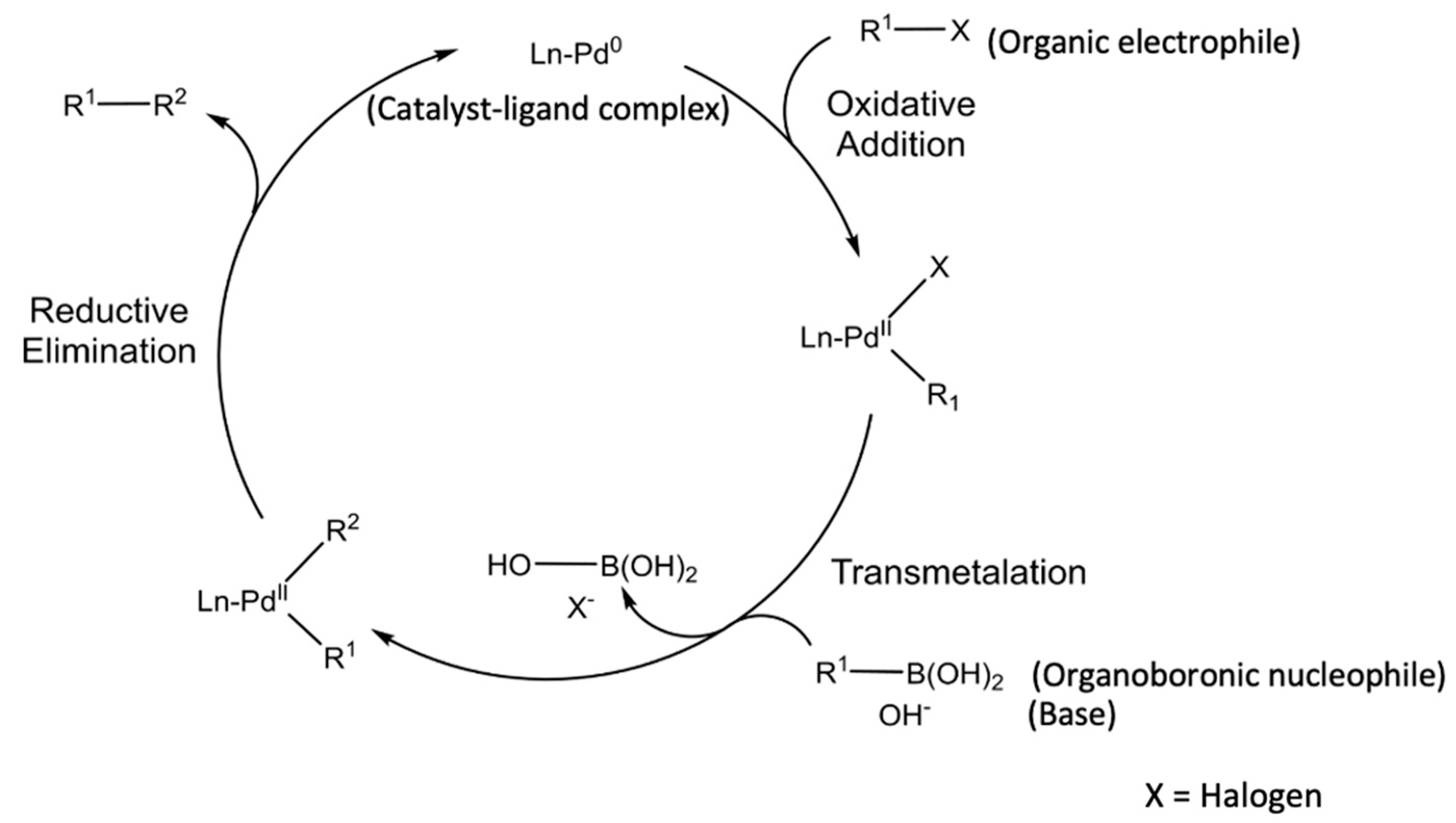 Knowledge 03 00001 g001