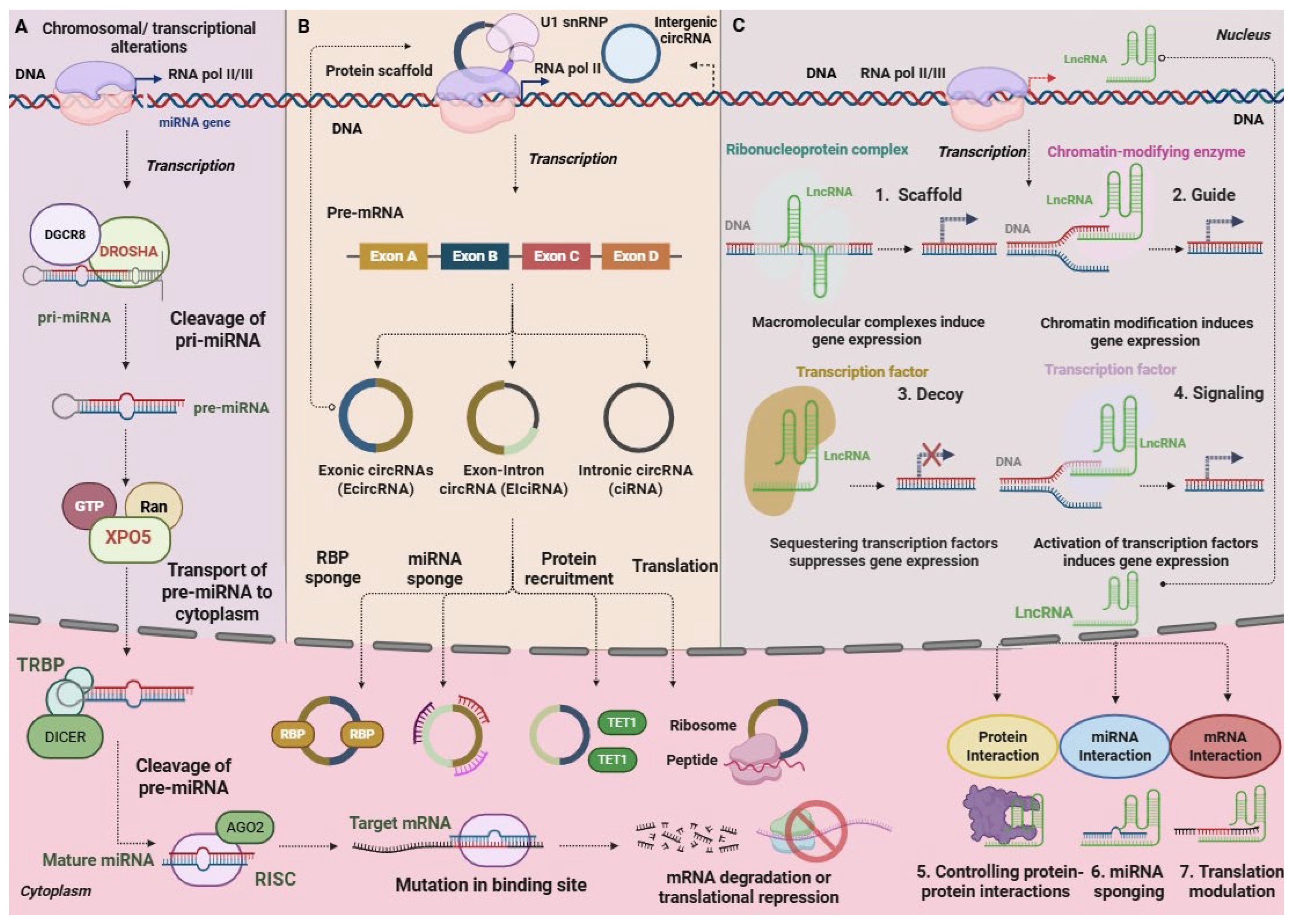 Labmed 02 00017 g001