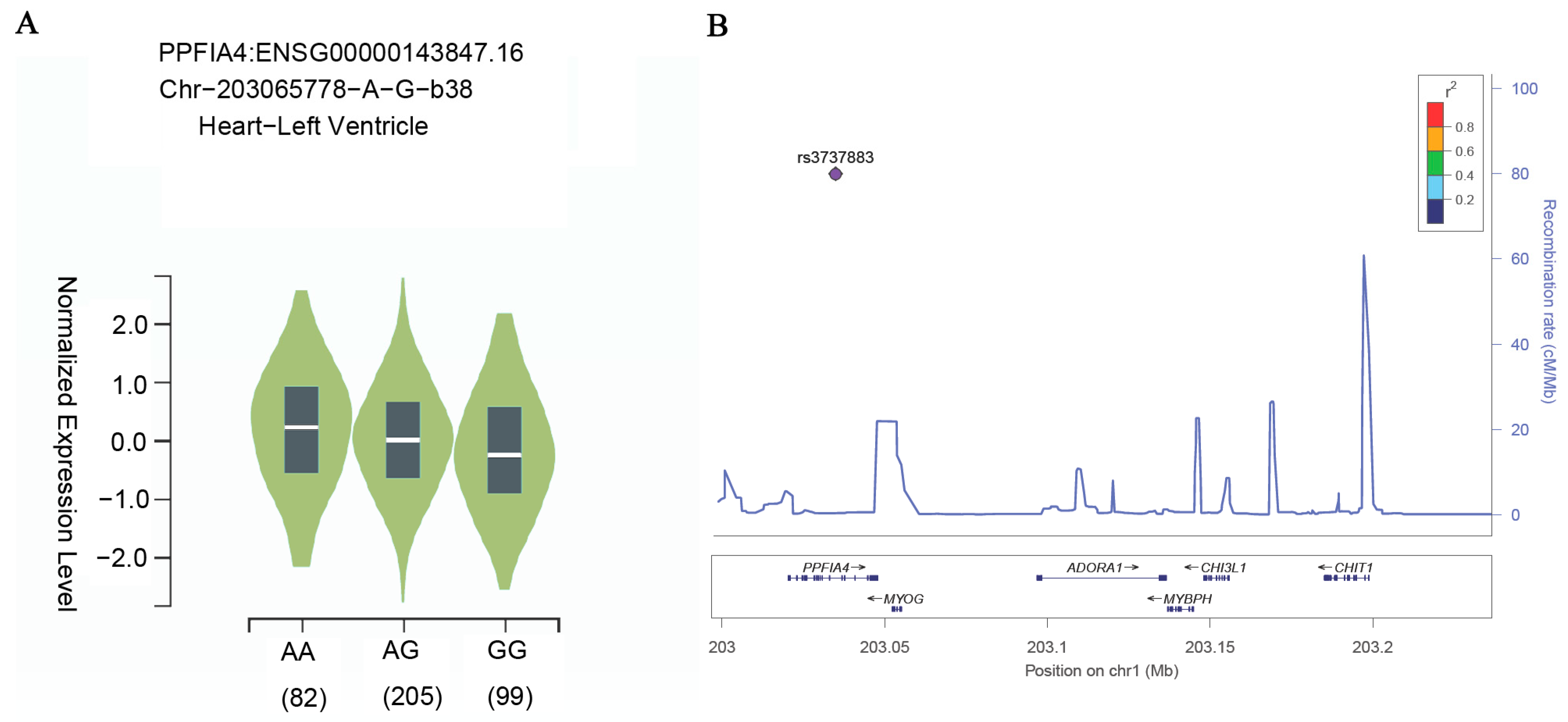 Labmed 02 00018 g001
