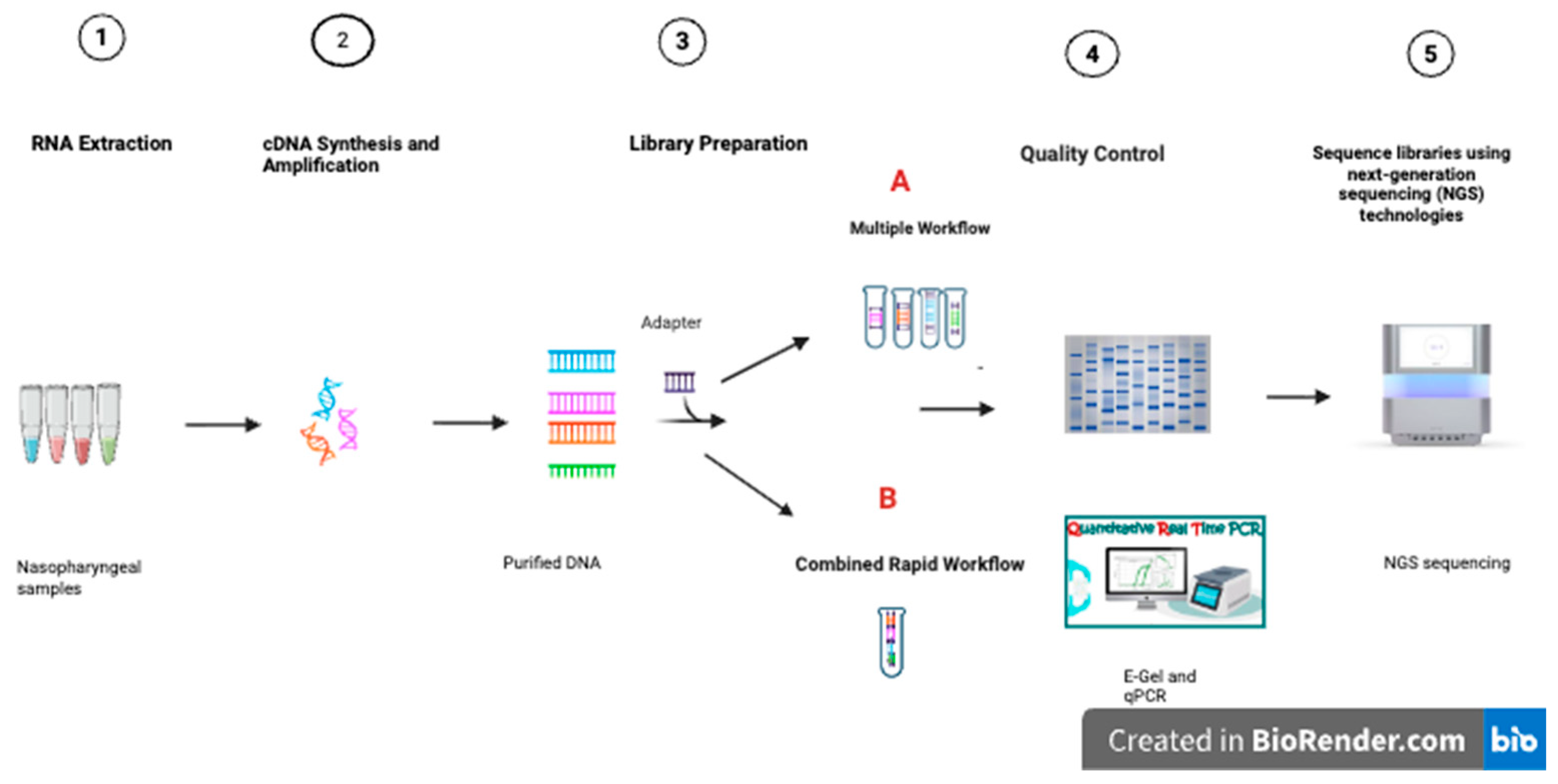 Labmed 02 00019 g001