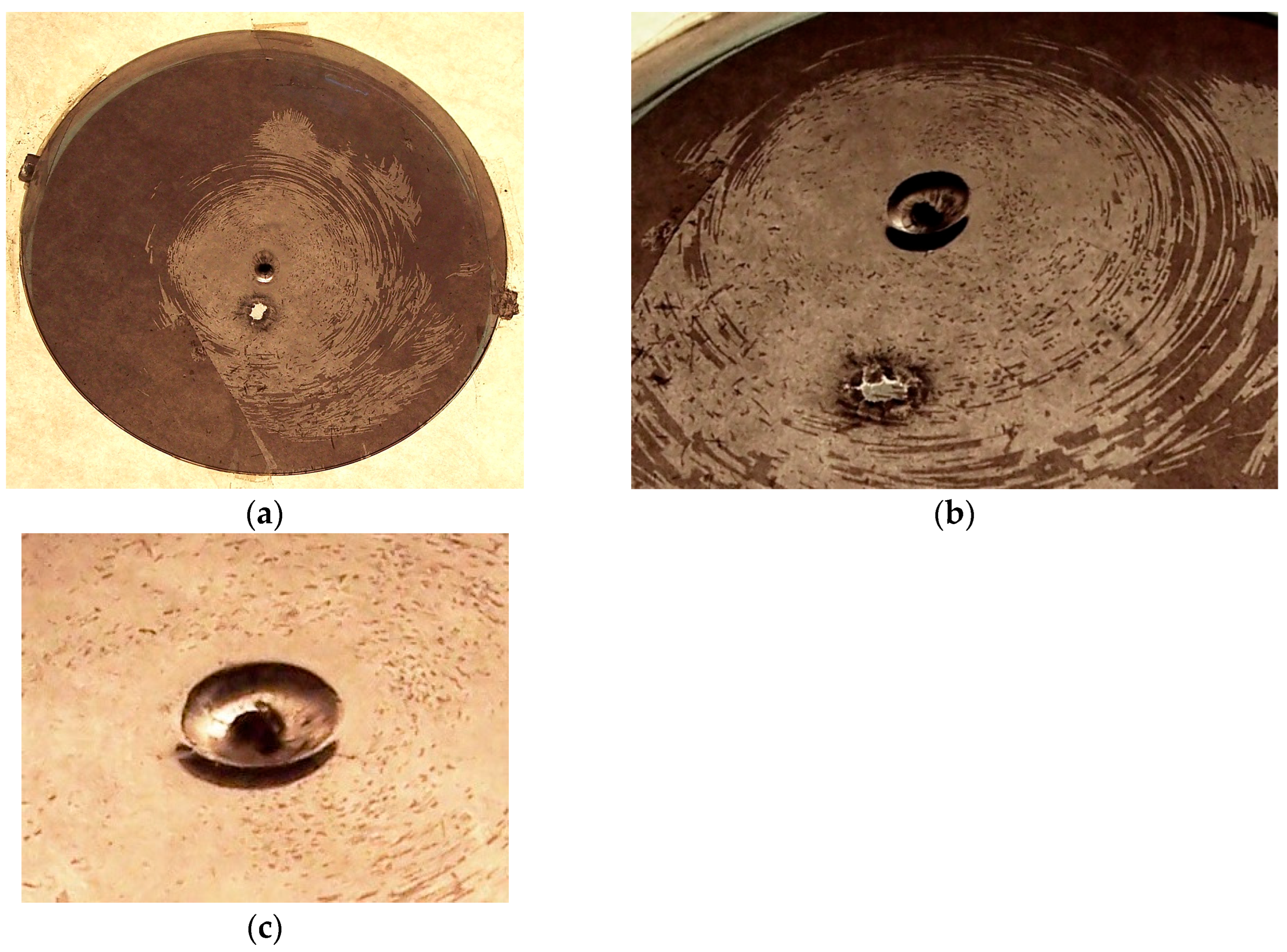 Laboratories 02 00016 g003