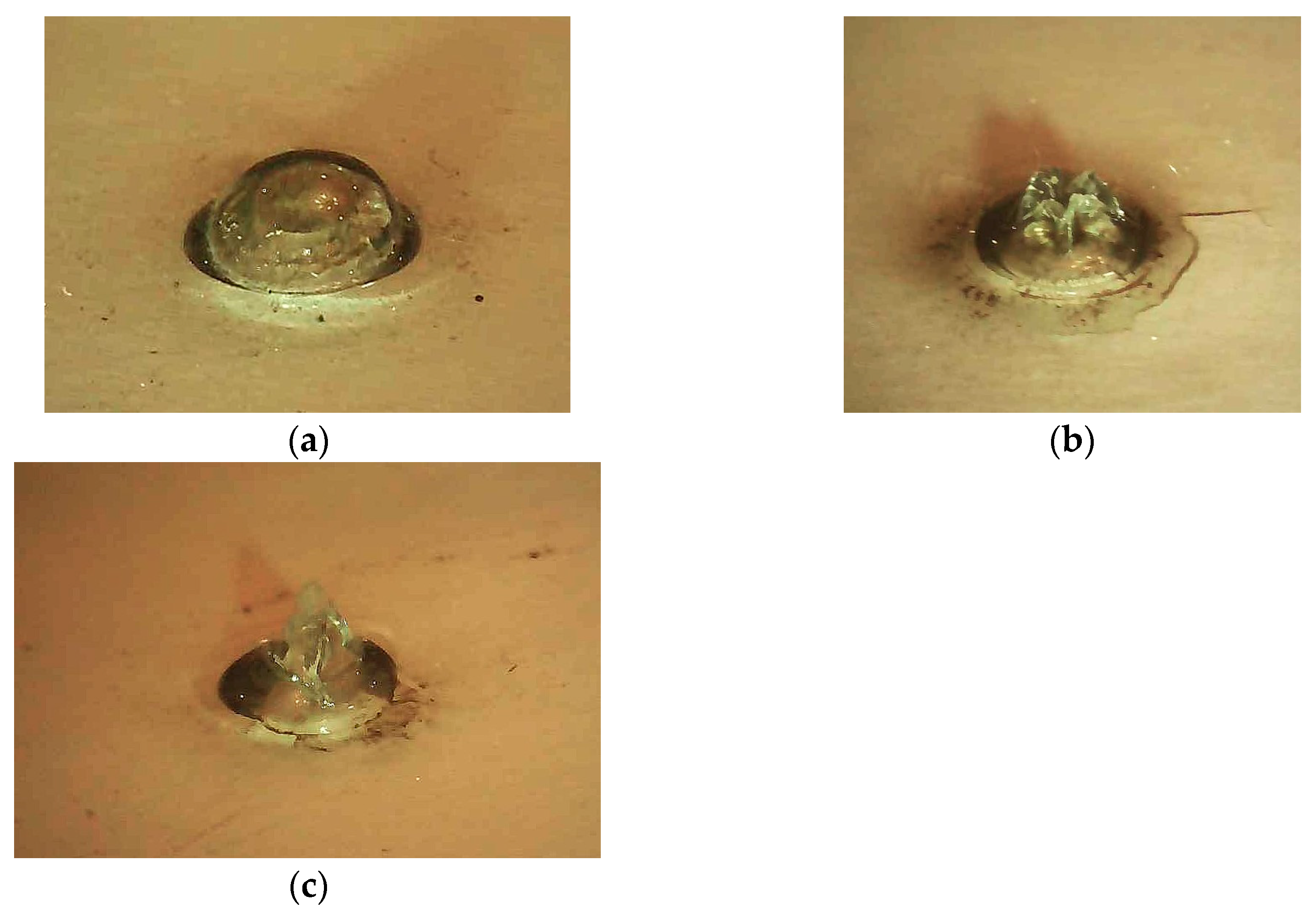 Laboratories 02 00016 g012