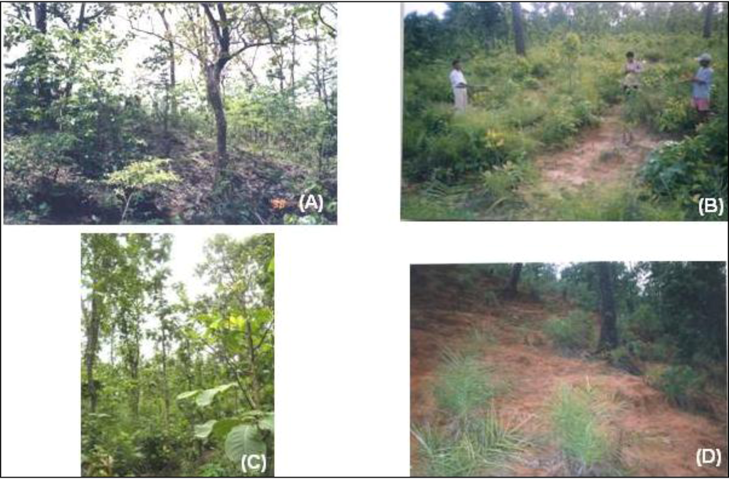 Land 02 00370 g003 1024