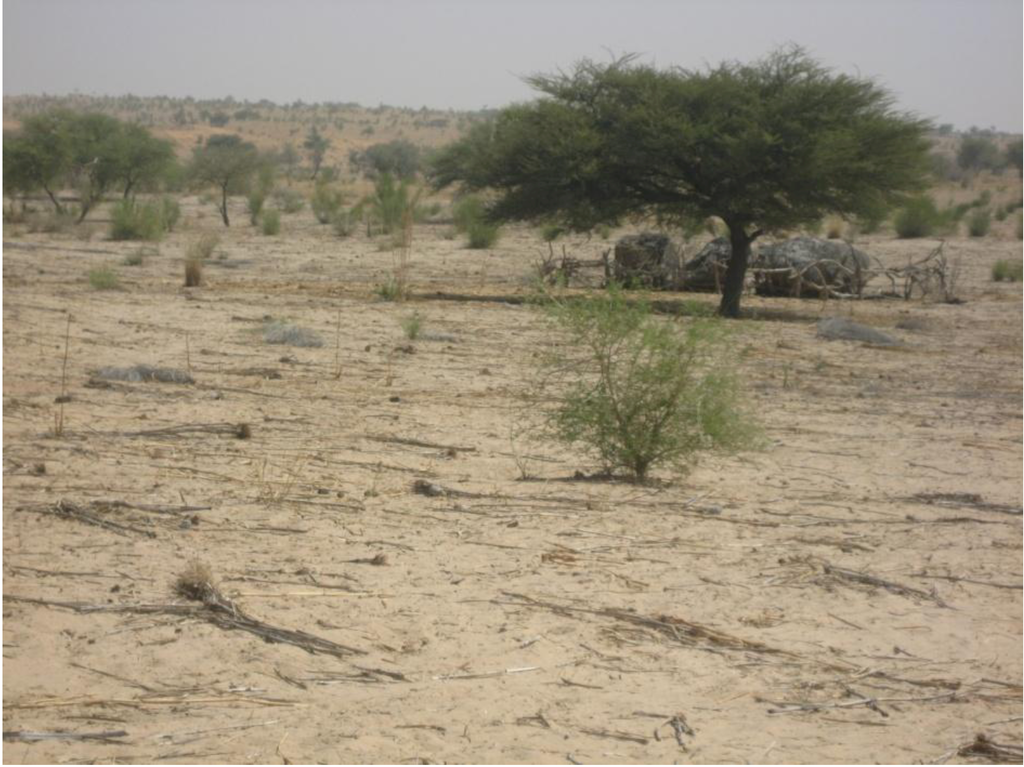 Land 02 00508 g003 1024