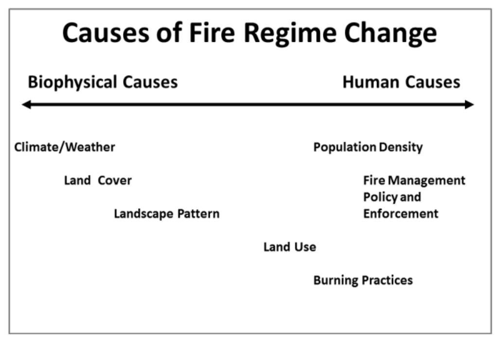 Land 02 00609 g004 1024