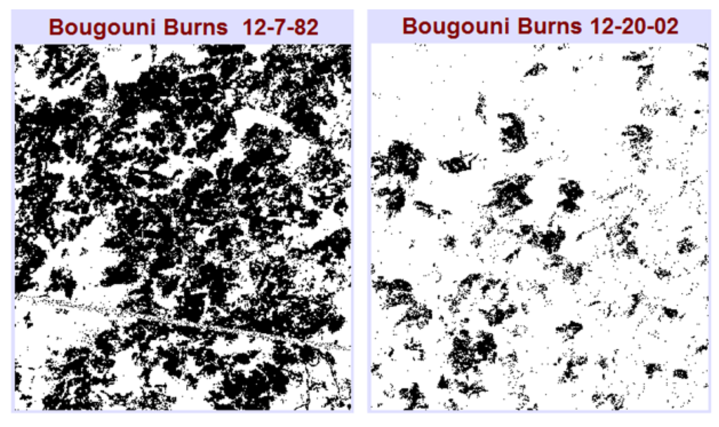 Land 02 00609 g011 1024