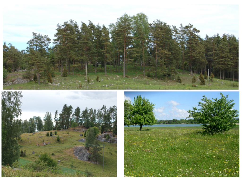 Land 03 00300 g001 1024