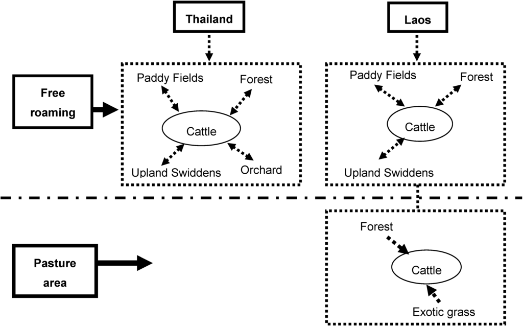 Land 03 00414 g003 1024