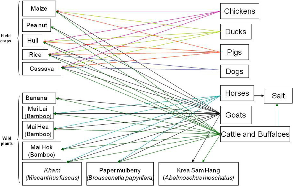 Land 03 00414 g009 1024