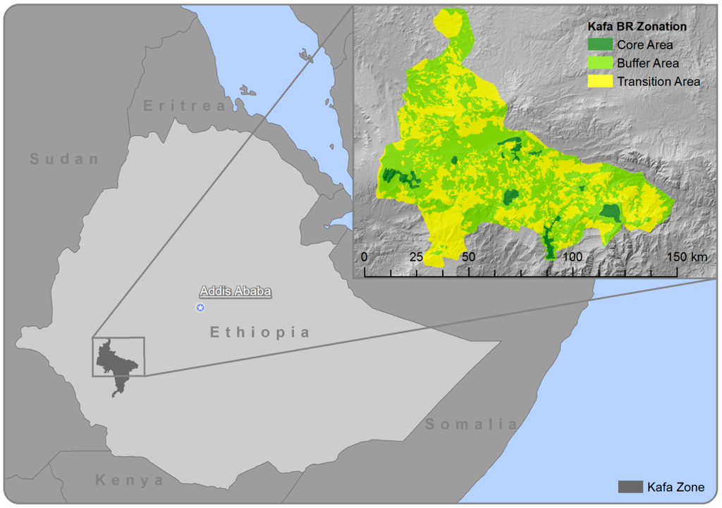 Land 03 01137 g001 1024