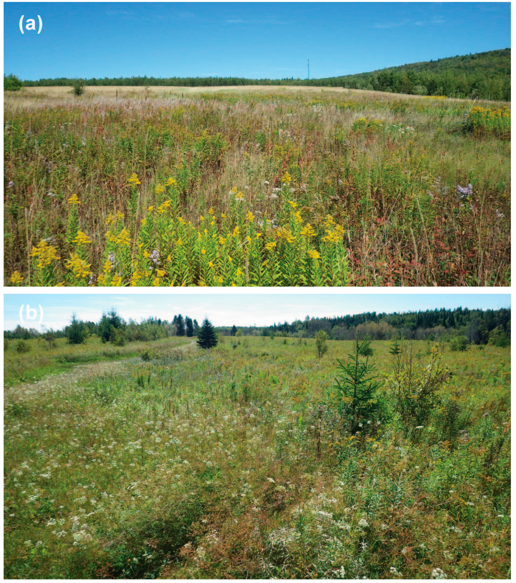 Land 04 00231 g002a 1024