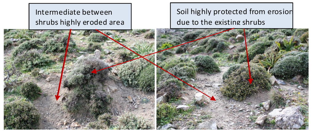 Land 04 00541 g004 1024