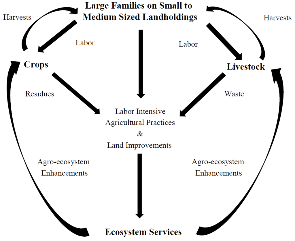 Land 05 00006 g001 1024