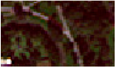 Land 06 00025 i002