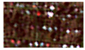 Land 06 00025 i010