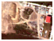 Land 06 00025 i015