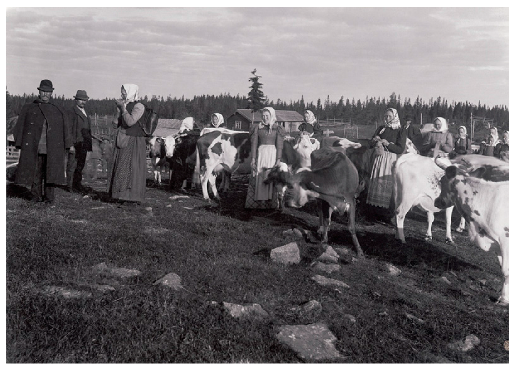 Land 06 00063 g002 Land 06 00063 g002