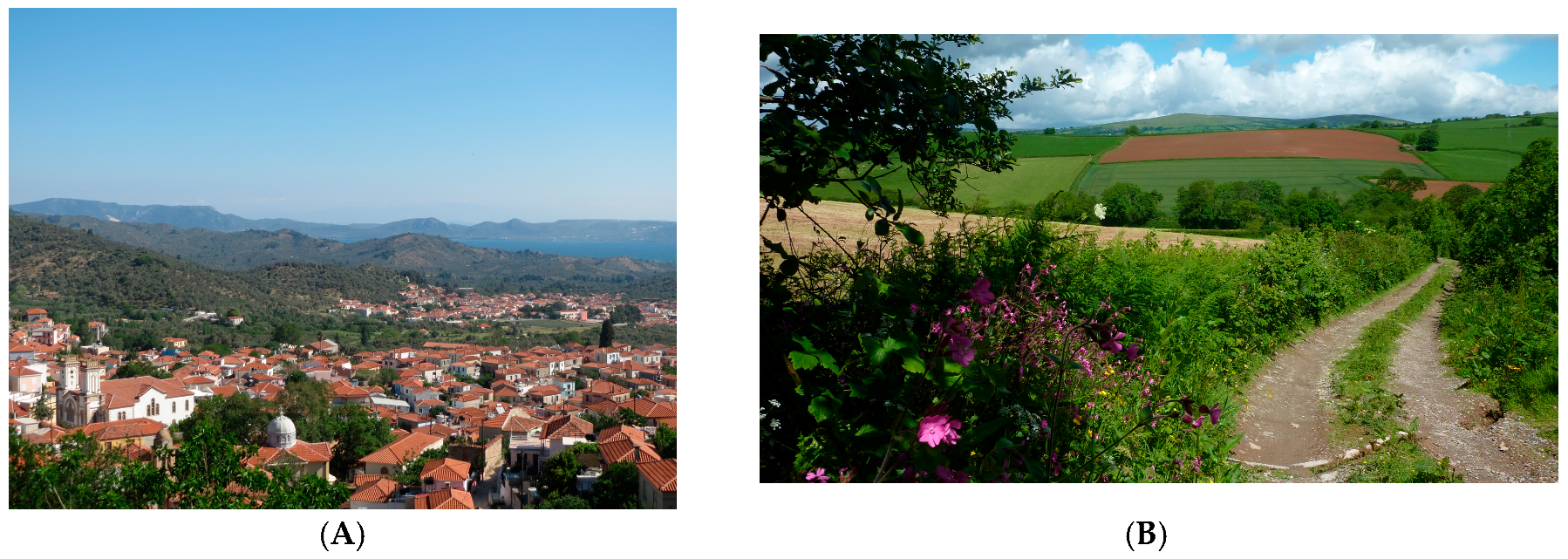 Land 07 00014 g001a Land 07 00014 g001a