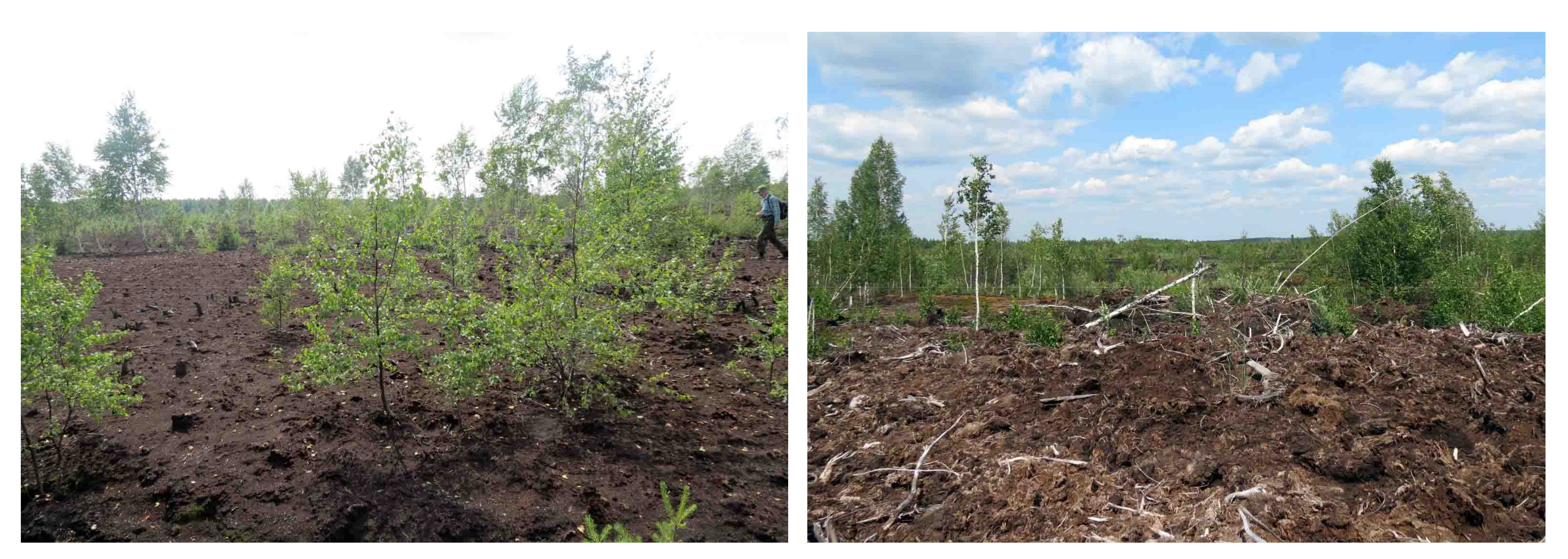 Land 07 00071 g0a1 Land 07 00071 g0a1