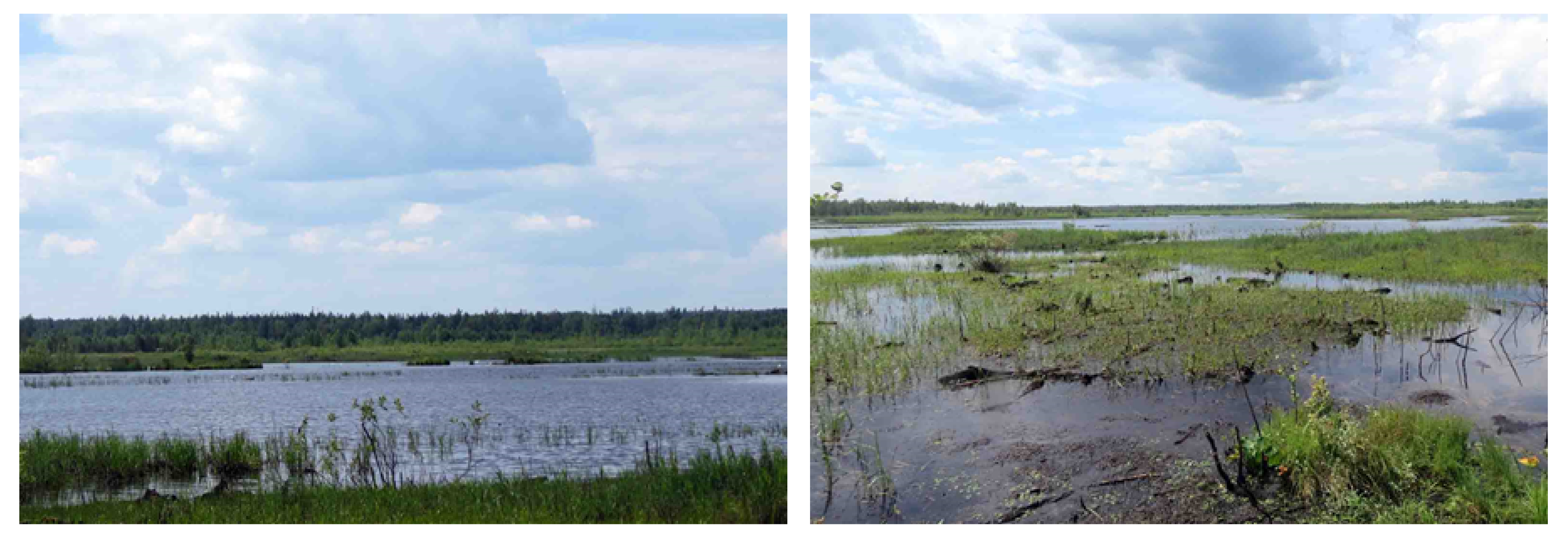 Land 07 00071 g0a6 Land 07 00071 g0a6