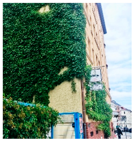 Land 09 00019 i001 Land 09 00019 i001