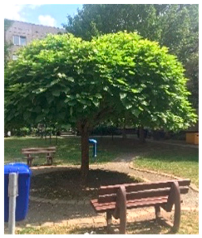 Land 09 00019 i002 Land 09 00019 i002