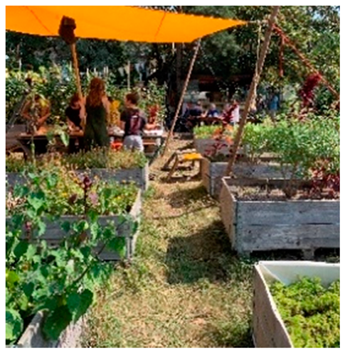 Land 09 00019 i003 Land 09 00019 i003