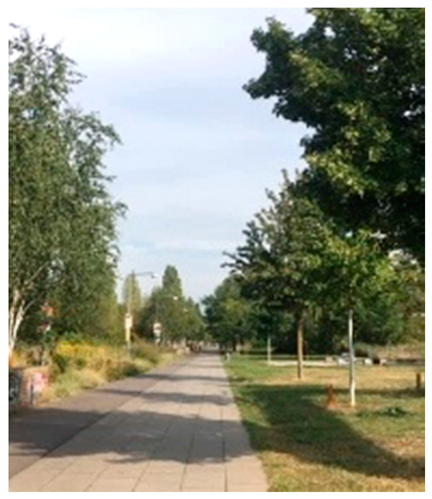 Land 09 00019 i004 Land 09 00019 i004