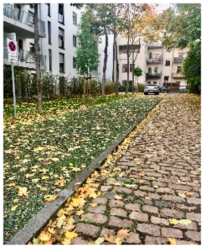 Land 09 00019 i006 Land 09 00019 i006